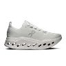 iceberg / ivory